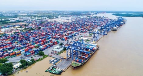 Cat Lat Port verse un dividende 2023, au taux de 26% en espèces