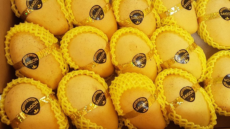 Los mangos vietnamitas tienen mucho margen para aumentar las exportaciones a Corea, pero eso conlleva