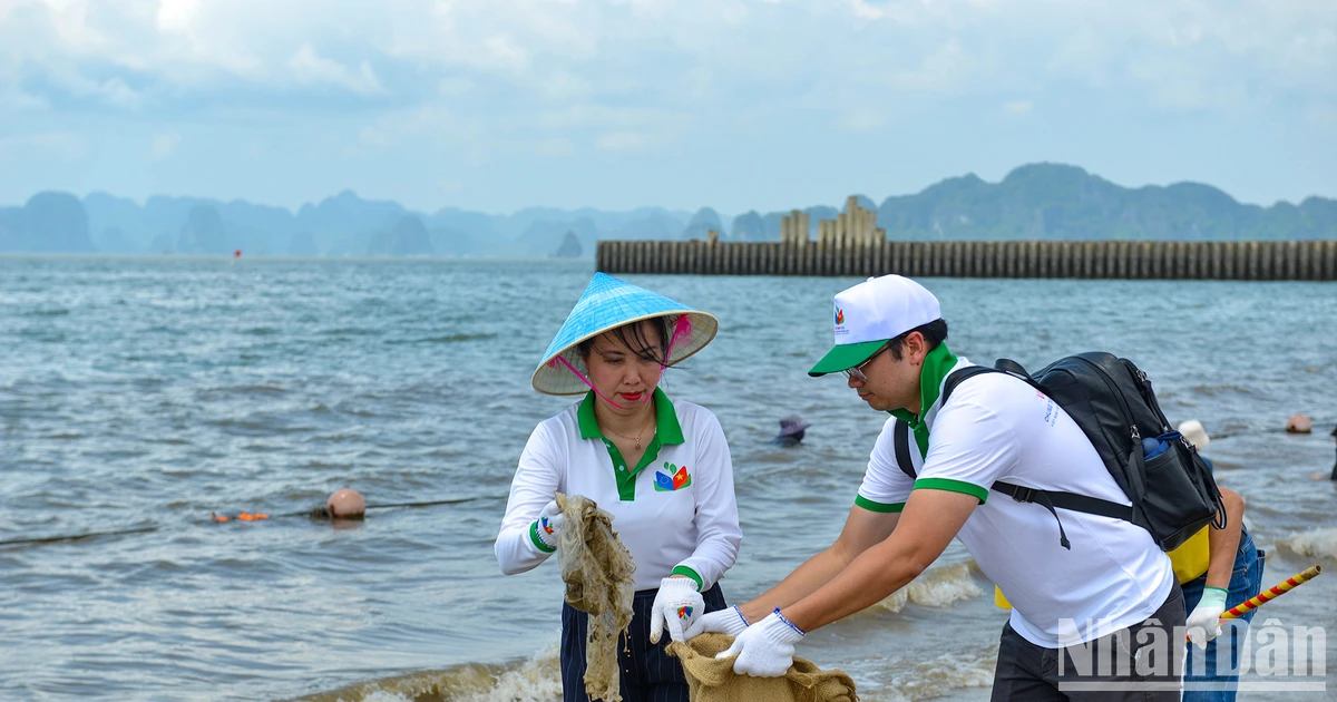 Chung tay vì môi trường sạch