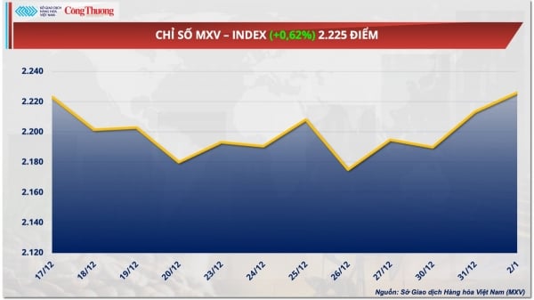 Crude oil prices increase continuously