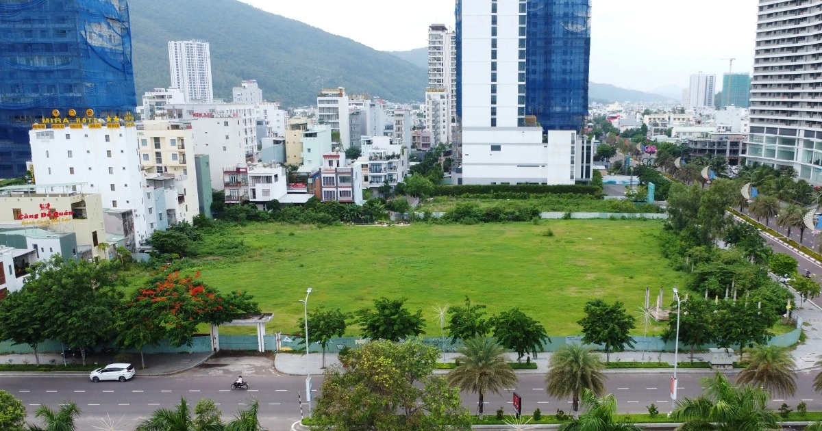 Auction of "golden land" by Quy Nhon beach, starting price of nearly 37 million VND/m2