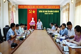 Economic - Budget Committee of the Provincial People's Council works with the Department of Planning and Investment