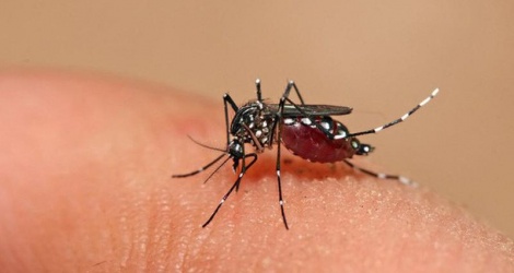 Phòng ngừa biến chứng nguy hiểm của sốt xuất huyết Dengue