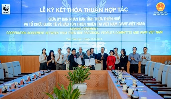 WWF Vietnam - Thua Thien Hue cooperate in biodiversity conservation and sustainable development