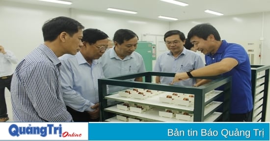 Suivre le niveau des dépenses visant à soutenir les activités de promotion industrielle et le programme de soutien à l’investissement dans les infrastructures techniques des pôles industriels du district de Trieu Phong.