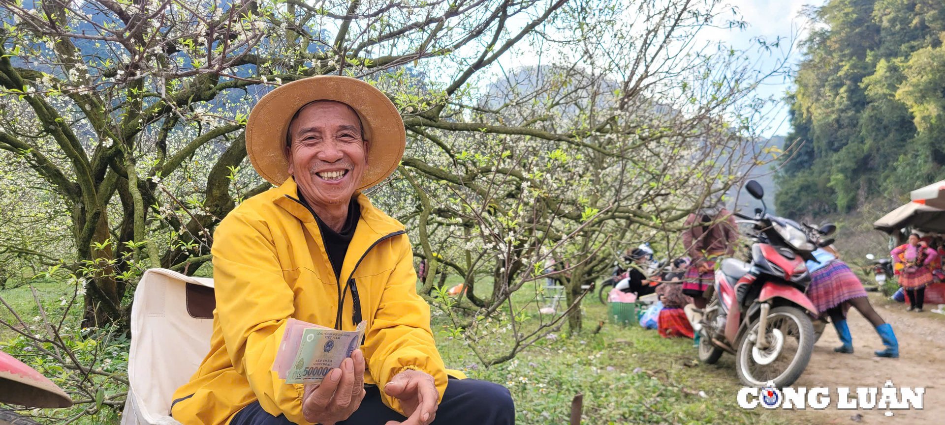 den moc chau lac minh vao mua hoa khoe sac qua chin hong hinh 10