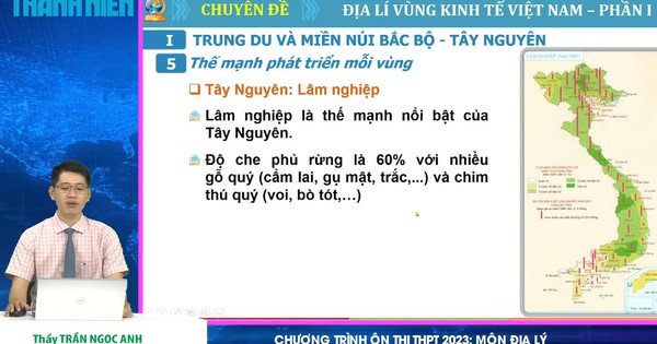 Địa lý vùng kinh tế