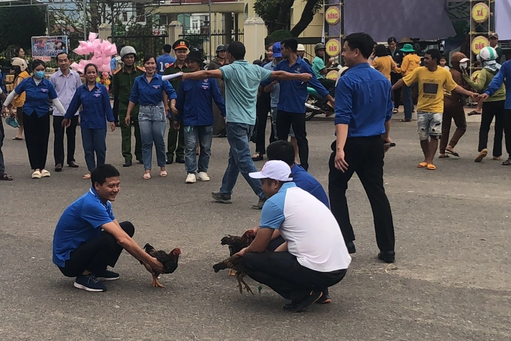 Kỳ thú màn đua heo sọc dưa, bắt gà vườn ở cao nguyên - 4