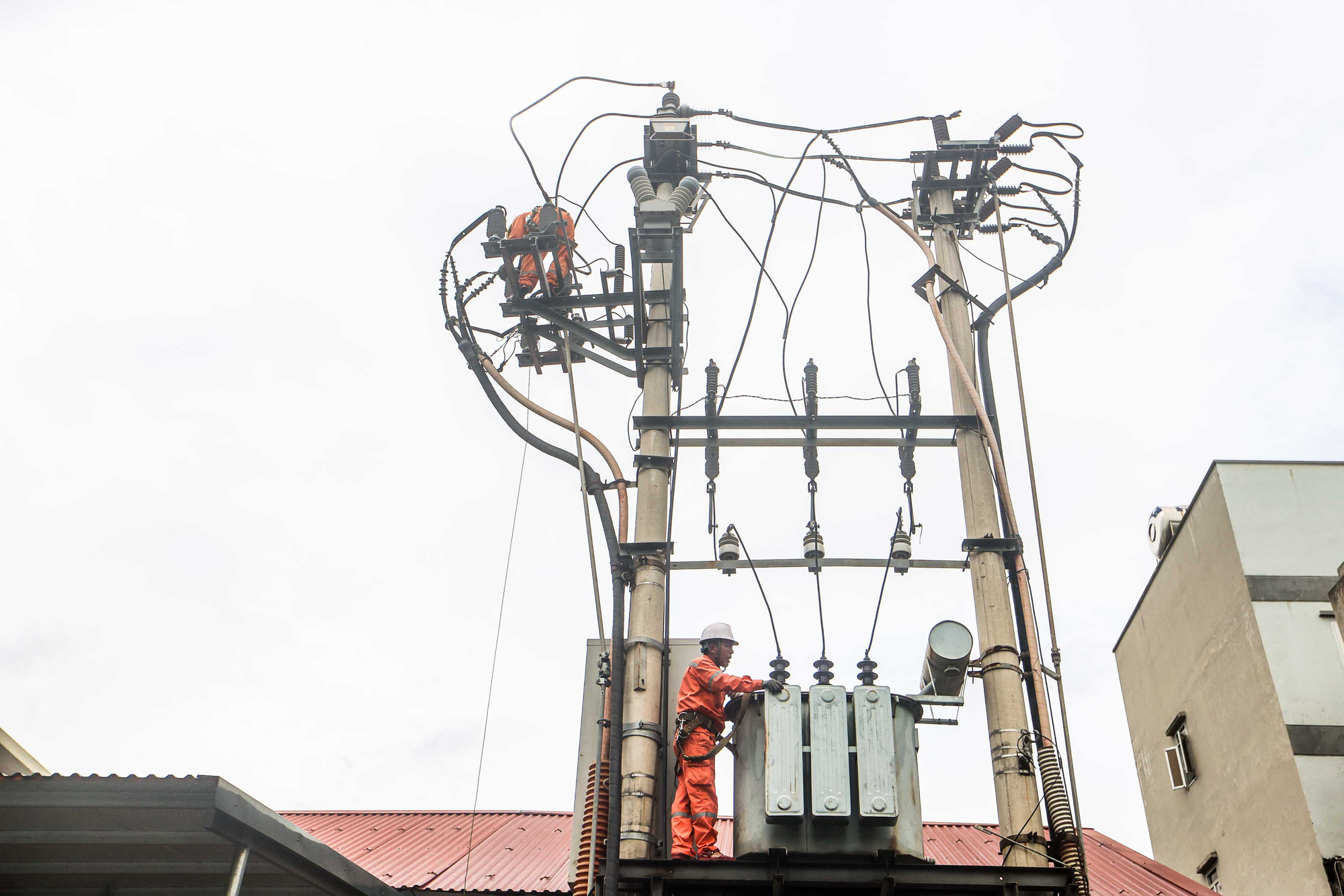 Tạm đình chỉ chức vụ giám đốc Điện lực TP Hạ Long, yêu cầu có mặt khắc phục lưới điện - Ảnh 1.