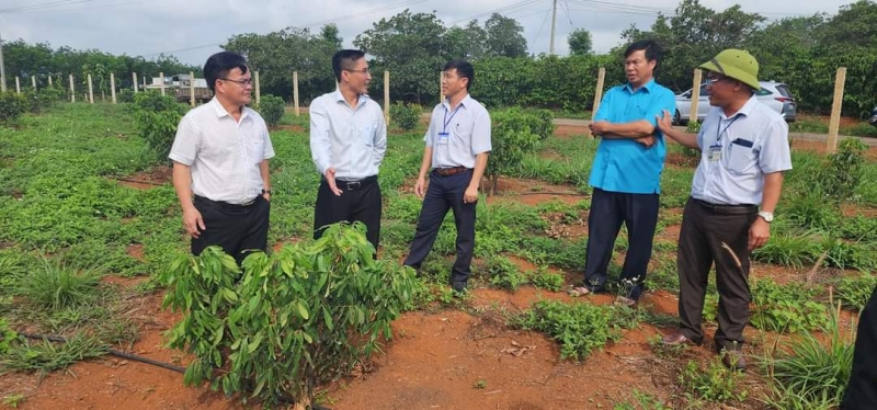 Das provinzielle Bewertungsteam für neue ländliche Gebiete bewertet neue ländliche Gebiete in der Gemeinde Nam Nung, Bezirk Krong No, Provinz Dak Nong.