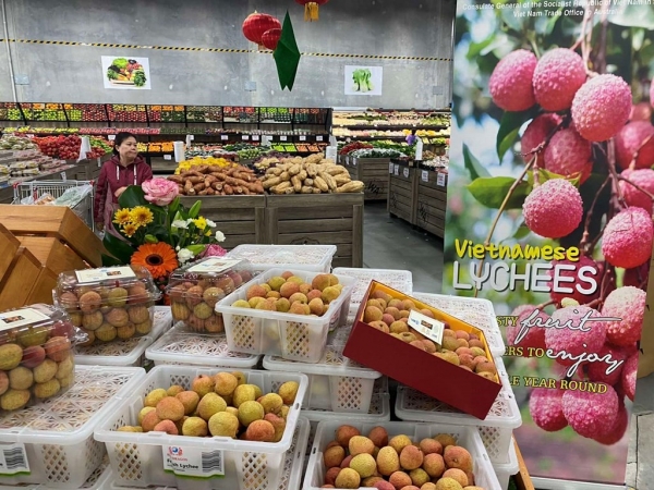 Potential opportunities for Vietnamese goods exported to the Australian market