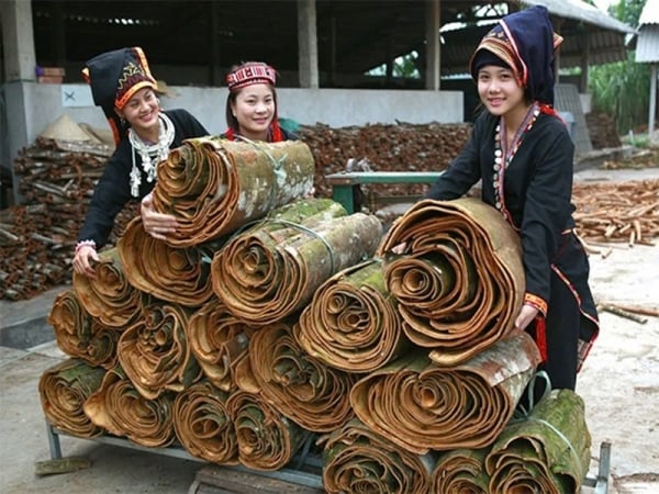 En 2024, les exportations de cannelle vers le marché indien diminueront de 5,7 %