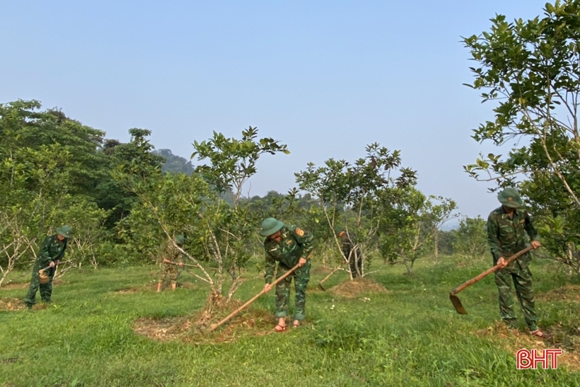 ホアハイ国境警備隊基地の緑豊かな農場で「迷子」
