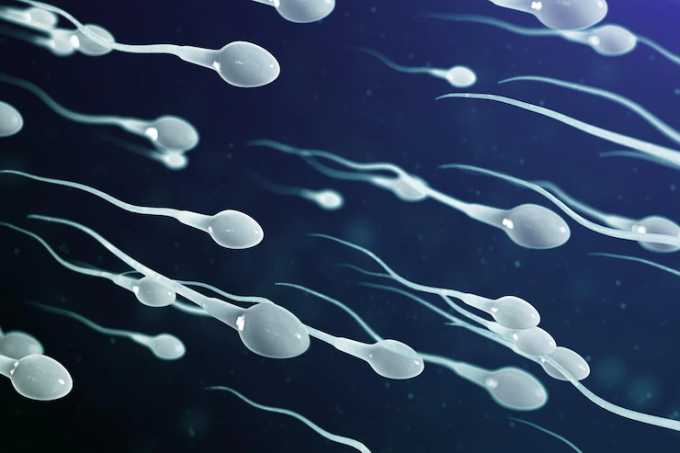The healthier the sperm, the higher the chance of conception. Photo: Freepik