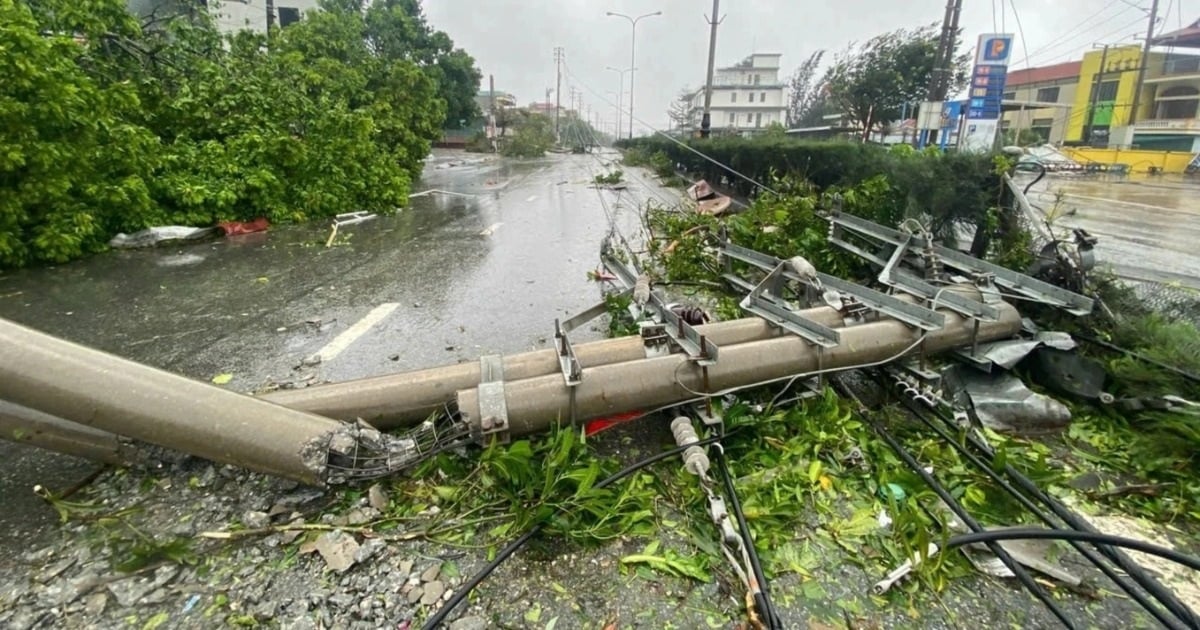 Motivo de la suspensión del cargo de director de la empresa eléctrica de la ciudad de Ha Long