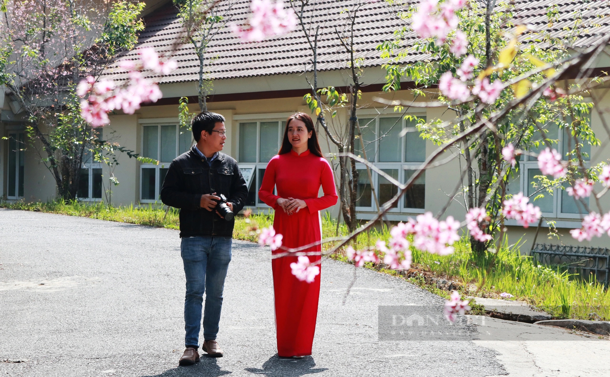 Hoa mai anh đào nở rực trong ngôi trường đại học rộng gần 40 hec-ta ở Đà Lạt- Ảnh 9.