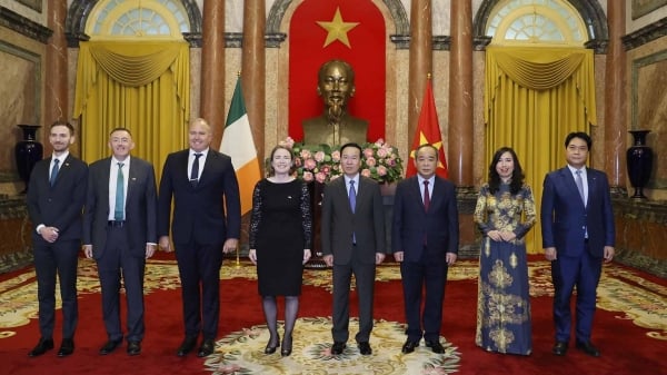 Le président Vo Van Thuong a reçu les ambassadeurs d'Irlande, d'Italie, de Corée du Sud et de Lituanie, leur présentant leurs lettres de créance.