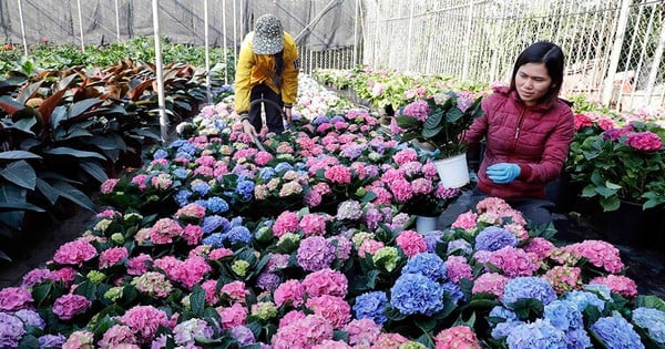 Hung Yen 주민들에게 아름답고 풍부한 샘물을 선사합니다.