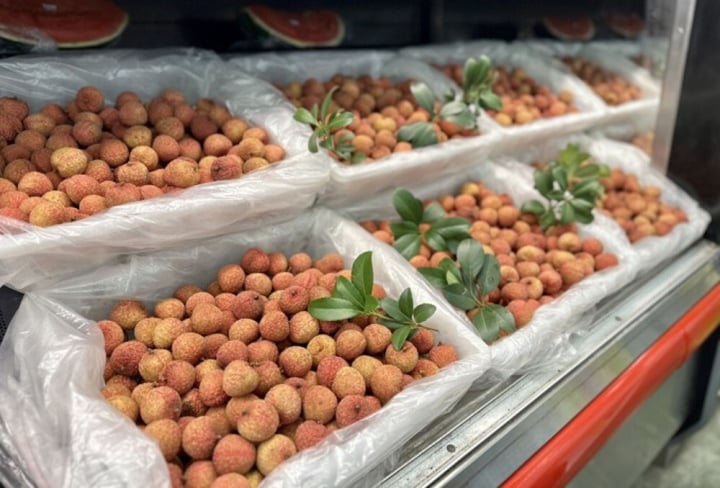 El lichi es famoso en todo el mundo: se exporta masivamente a EE. UU. y Japón, precio 800.000 VND/kg - 2