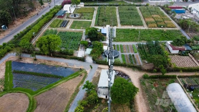 Vườn thực phẩm cộng đồng Nong Lam Foodbank Garden có diện tích 1ha ban đầu, chú trọng trồng nhiều loại cây trồng hữu cơ. Ảnh: Trần Phi.