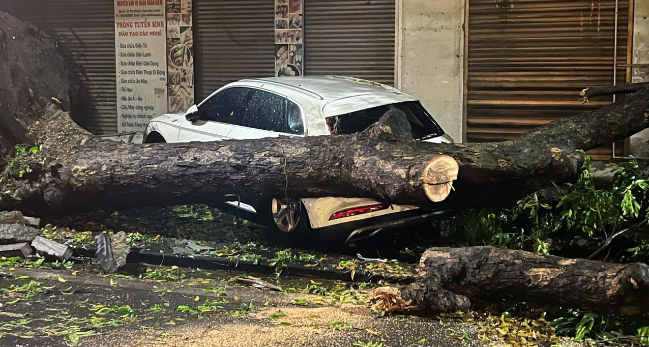 Des tempêtes et de la grêle à Hanoi déracinent de nombreux arbres