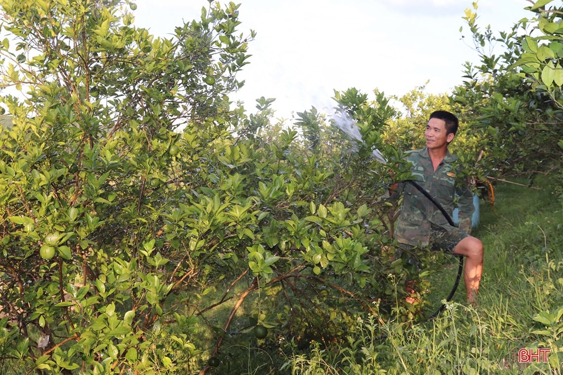 Farmer Vu Quang digs pond to store water to prevent drought for oranges