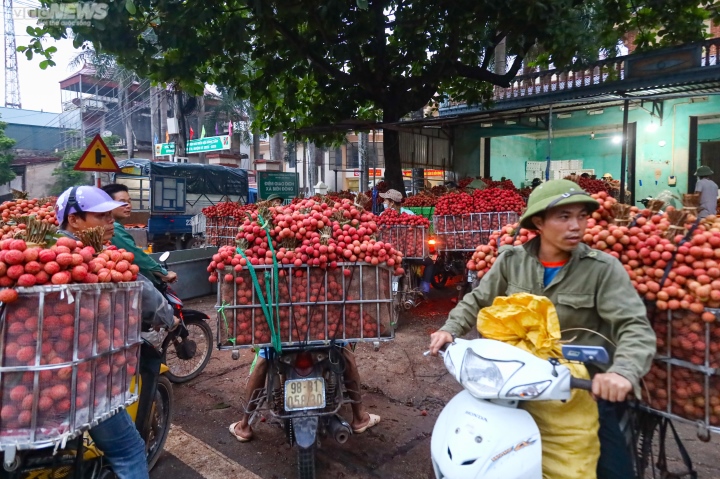 Bac Giang: Los agricultores se apresuran a llevar lichis para pesarlos y venderlos, las calles se tiñen de rojo - 8