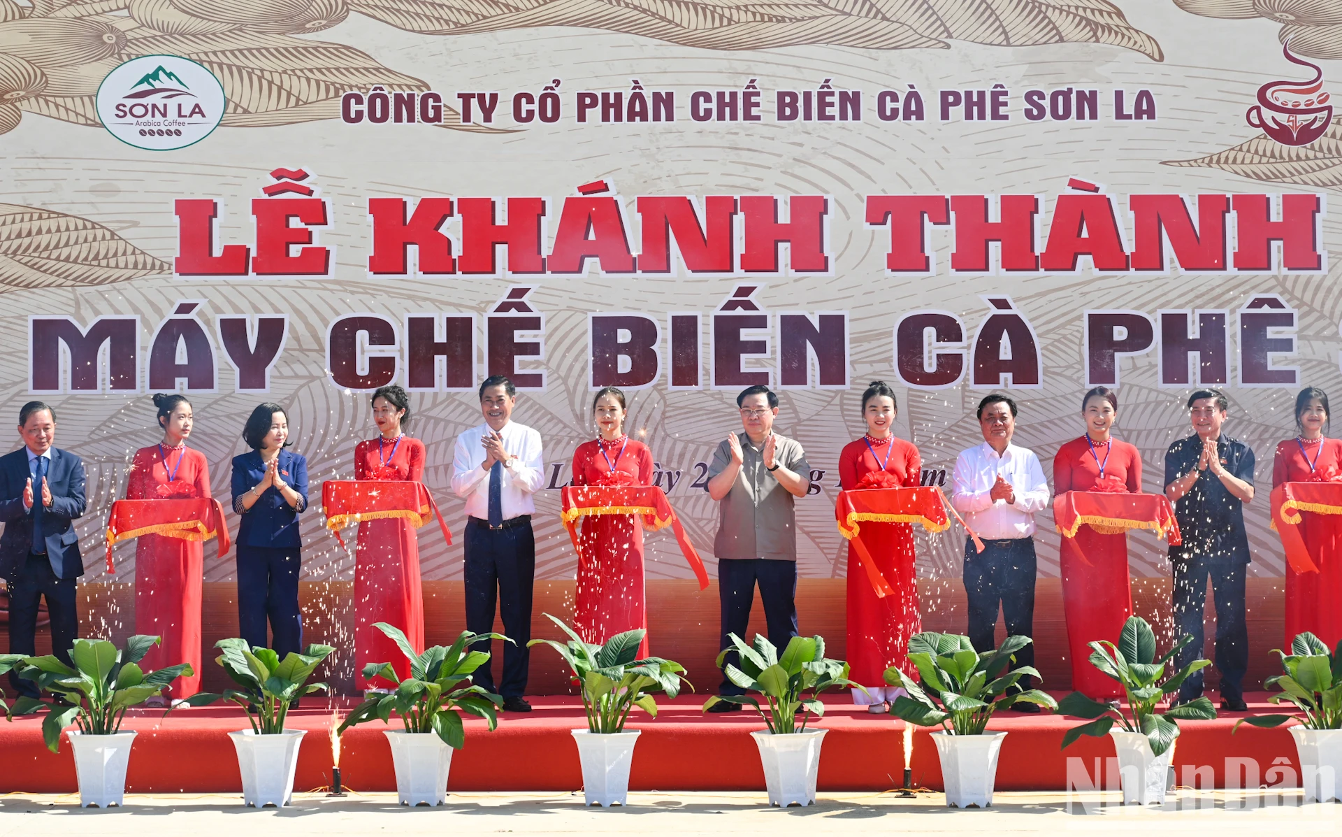 [Ảnh] Chủ tịch Quốc hội Vương Đình Huệ thăm vùng trồng cà-phê Sơn La ảnh 7