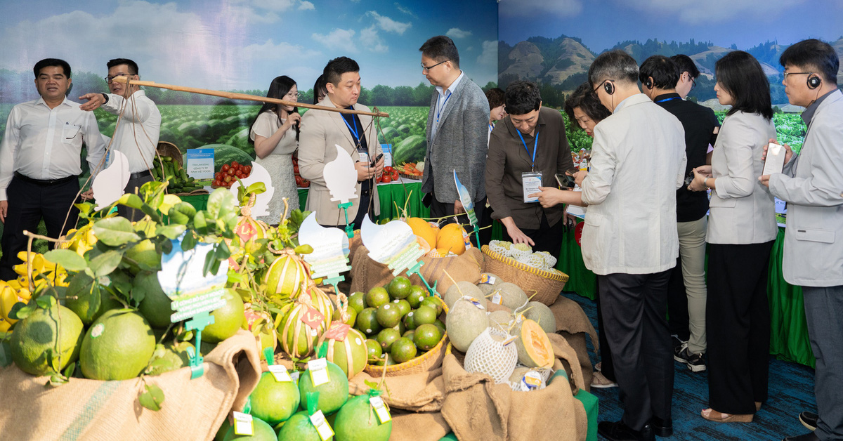 Saigon Co.op 'joins hands' to develop sustainable supply chain