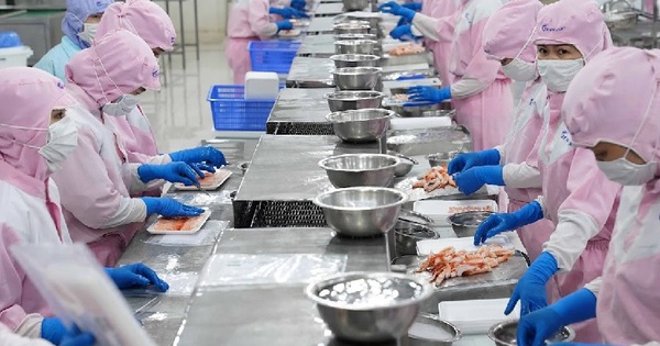 Die Exporte von Meeresfrüchten erreichten 7,1 Milliarden USD, Garnelen und Pangasius brachten mehr als 4,2 Milliarden USD ein, Chinas Krabbenkäufe stiegen um 66 %