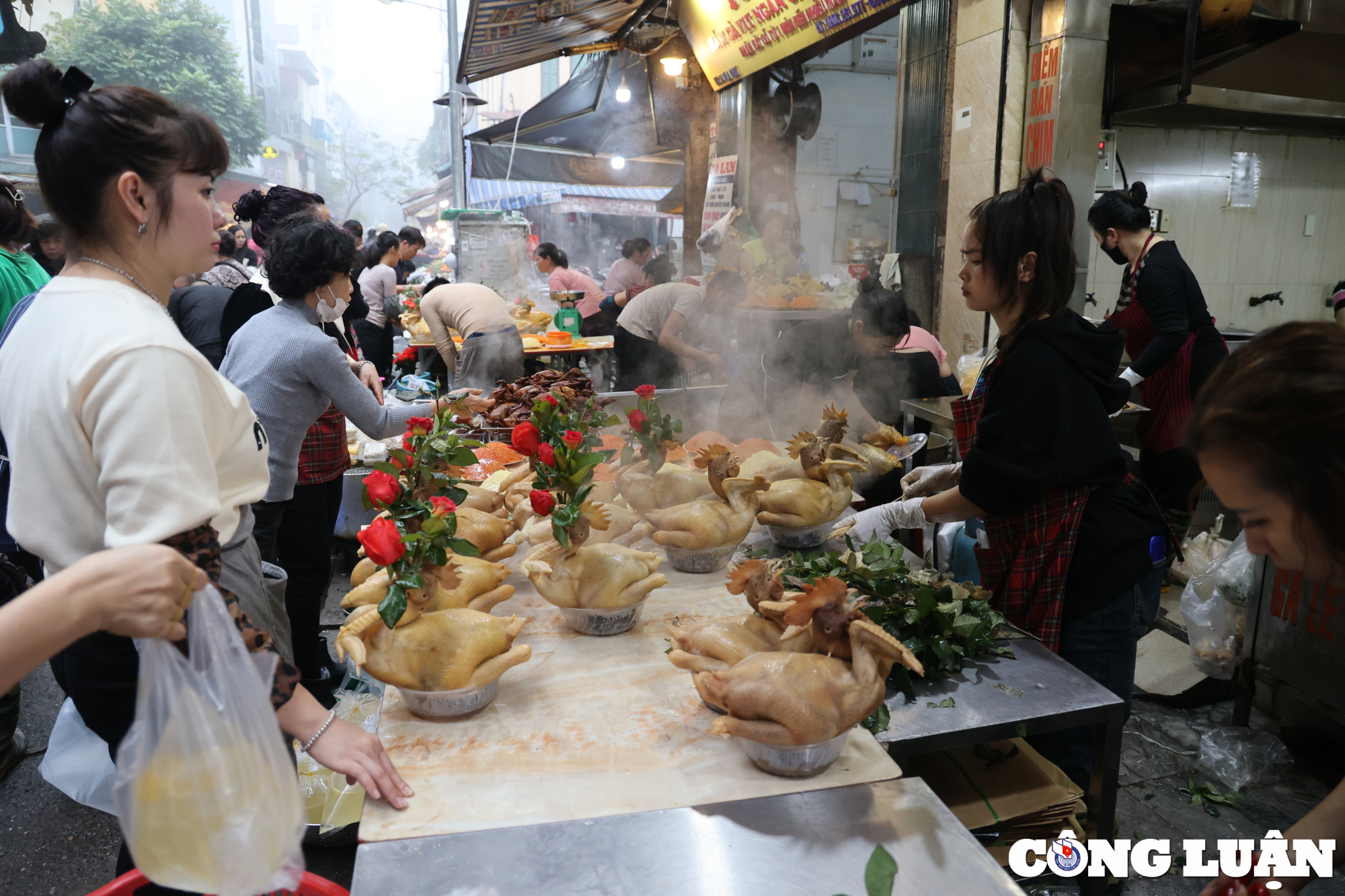 ga ngam hoa hong hut khach tai cho nha giau ha noi hinh 3