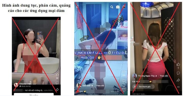 Not only TikTok, Facebook and YouTube also have many violations in Vietnam - 2