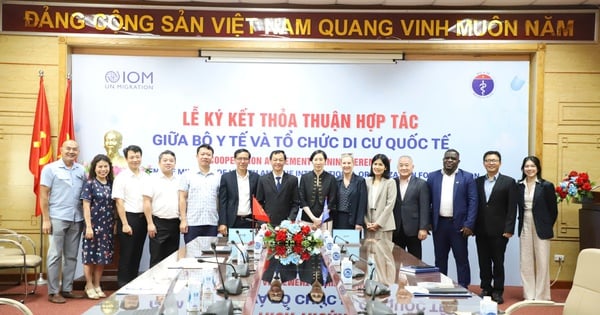 Bộ Y tế và IOM hợp tác nâng cao sức khỏe người di cư