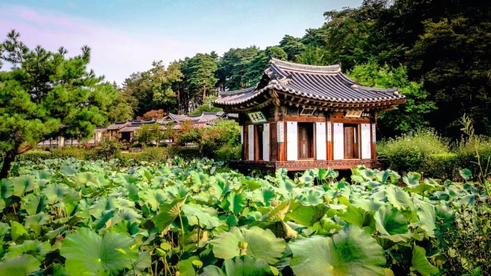江陵（韓国）の船橋荘の庭園。 （出典：アラミー/ナショナルジオグラフィック）