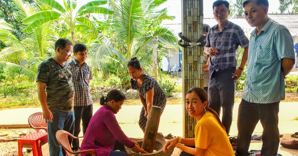 Cuốc một nhát bật lên chùm củ mì, ở Sóc Trăng dân đem ra làm bánh phồng, ăn ngon mê lắm luôn