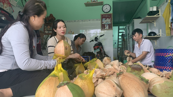 Dừa sáp mang lại giá trị kinh tế cao vượt trội so với dừa thường, mỗi quả hiện có giá từ 100 - 150 ngàn đồng. Ảnh: Hồ Thảo.