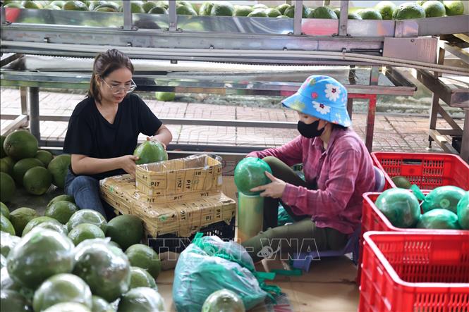 Sản phẩm OCOP vào cao điểm vụ Tết