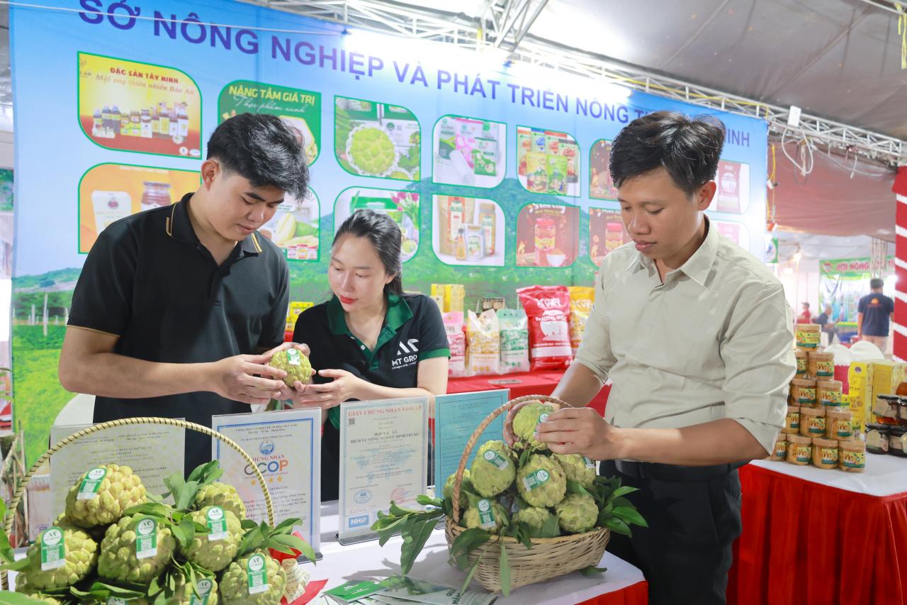 เตยนินห์มีผลิตภัณฑ์ OCOP 139 รายการตั้งแต่ 3 ดาวขึ้นไป