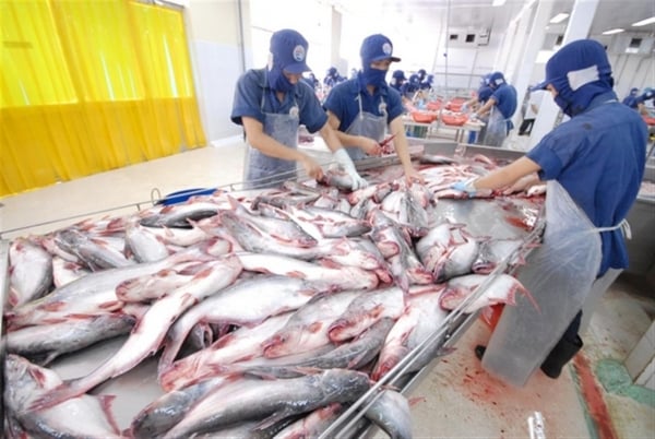 „Diagnose“ der Wettbewerbsfähigkeit vietnamesischer Pangasiusfische