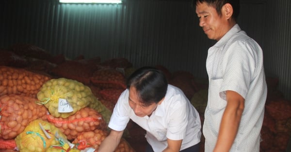 La province de Thai Binh a décidé de soutenir les agriculteurs à hauteur de 500 000 VND/ha si la superficie de 6 types de plantes augmente par rapport à 2023.