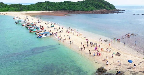 Cảnh giác trước tour 'gây bão' trên mạng xã hội ở đảo Cô Tô