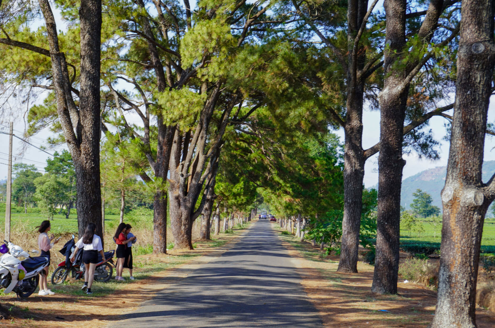 48 giờ ở Gia Lai