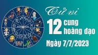 Tử vi 12 cung hoàng đạo Thứ Sáu ngày 7/7/2023: Song Ngư túi tiền báo động đỏ