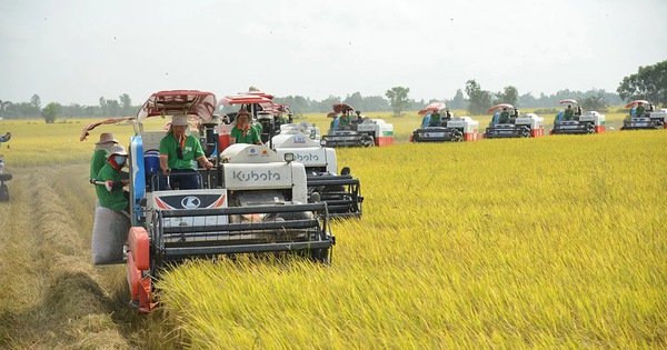 Nông nghiệp lập hàng loạt kỷ lục