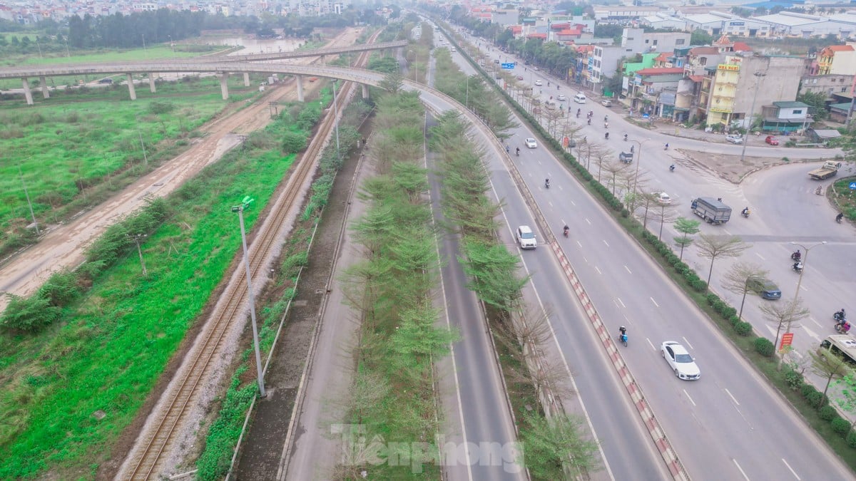 Đường phố Hà Nội đẹp ngỡ ngàng dưới những hàng cây bàng lá nhỏ ảnh 1