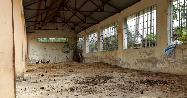 Desolation at the 39 billion VND education center in Ha Tinh