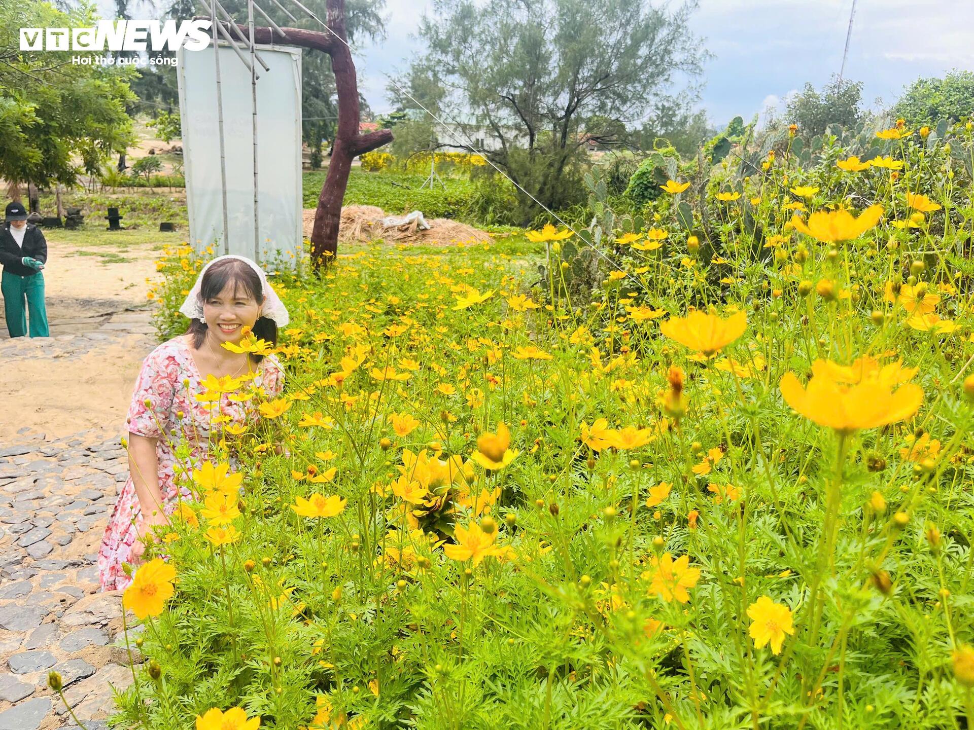 Sehen Sie sich das Filmset von „Ich sehe gelbe Blumen auf grünem Gras“ in Phu Yen an, bevor Sie einen neuen Mantel anziehen – 6