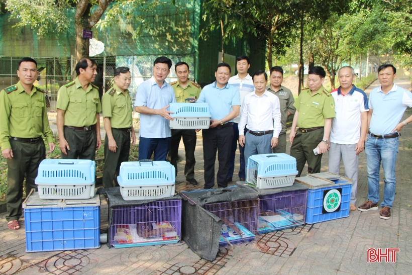 Vu Quang National Park releases 150 animals into the wild