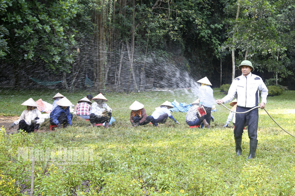 Hoa Lư kiểm tra công tác chuẩn bị Tuần Du lịch Ninh Bình