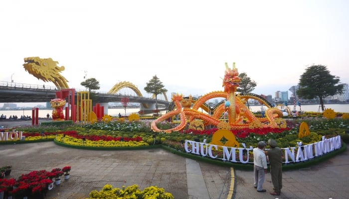 Many unique dragon mascots on the streets of Da Nang